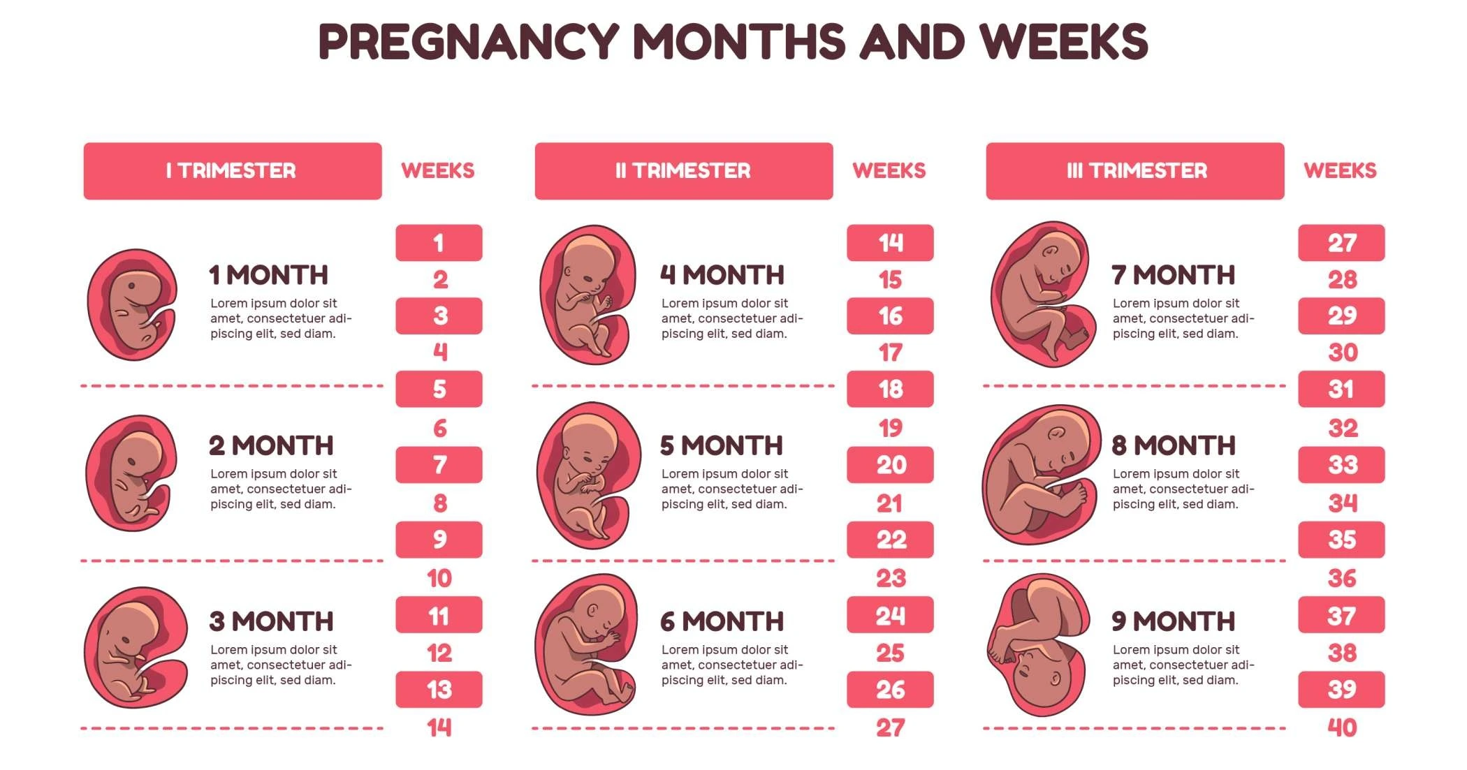 month by month pregnancy baby development